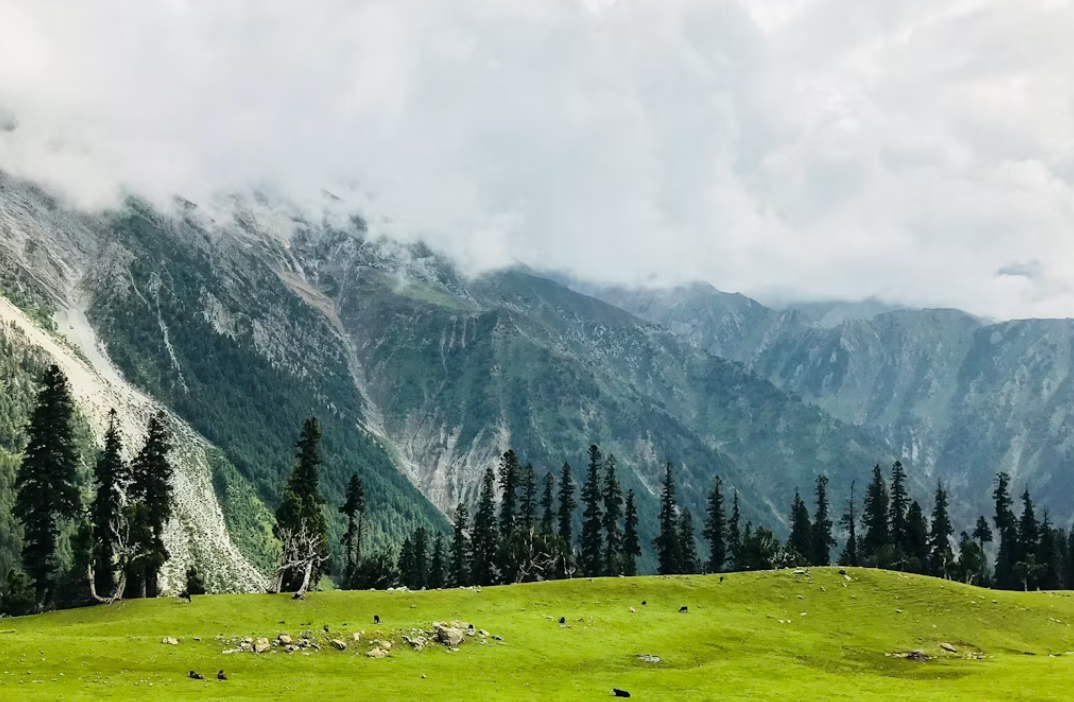 Kashmir Tour Package